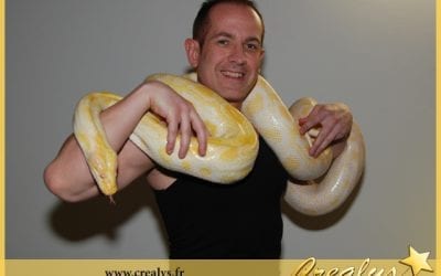 Location serpent vidéos Grenoble