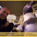 Location pingouin Vidéos Provins