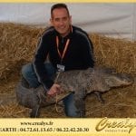 Location alligator Vidéos Chemillé en Anjou