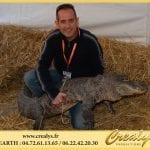 Location crocodile Vidéos Mitry Mory