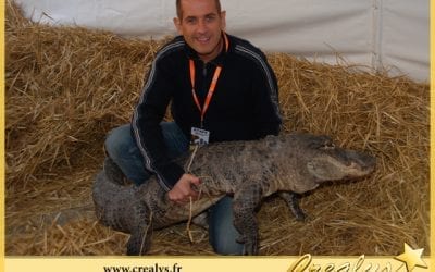Location crocodile vidéos Chartres