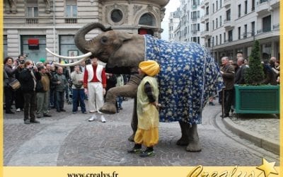 Location éléphant vidéos Saint Brice sous Forêt