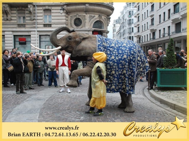 Location éléphant vidéos Château Gontier