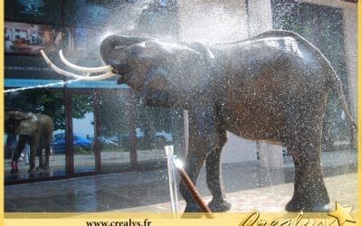 Location éléphant vidéos Montesson