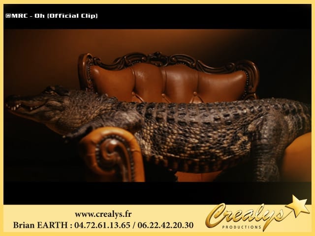 Location crocodile vidéos Forbach