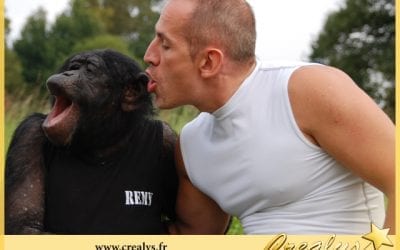 Location chimpanzé vidéos Brie Comte Robert