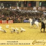 Location cheval Vidéos Fontenay sous Bois