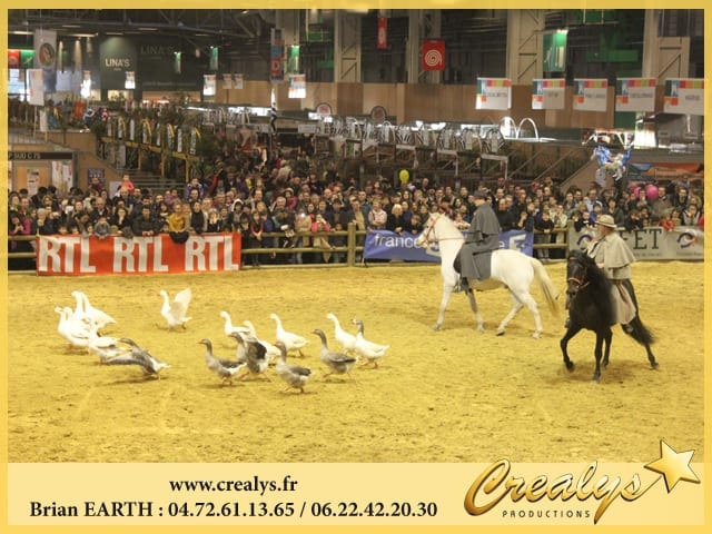 Location cheval vidéos Bourg la Reine