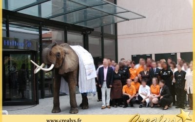 Location éléphant vidéos Maizières lès Metz