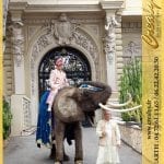 Location éléphant Vidéos Arras