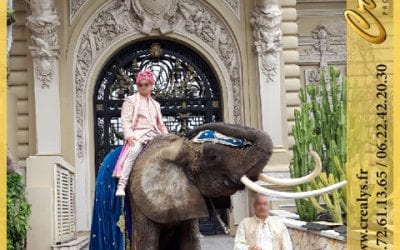 Location éléphant vidéos Andernos les Bains