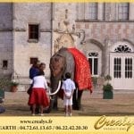 Location éléphant Vidéos Châlons en Champagne