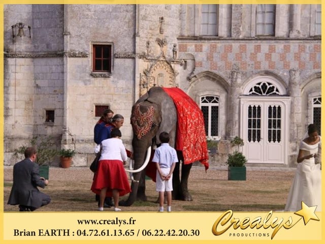 Location éléphant vidéos Argenteuil