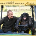 Location chimpanzé Vidéos Poitiers