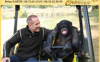 Location chimpanzé vidéos Voisins le Bretonneux