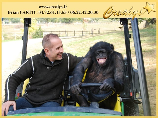 Location chimpanzé vidéos Château d’Olonne