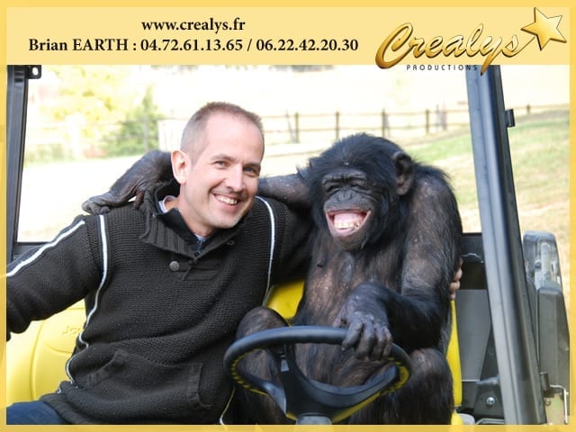 Location chimpanzé vidéos Berck