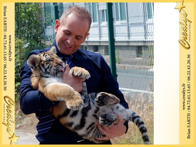 Location tigre vidéos Le Plessis Trévise