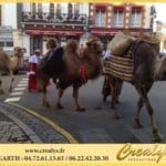 Location chameau Vidéos Bagnols sur Cèze
