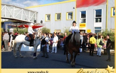 Location cheval vidéos Les Sables d’Olonne