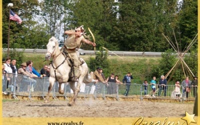 Location cheval vidéos Gonesse