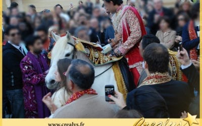 Location cheval vidéos Olonne sur Mer