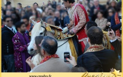 Location cheval vidéos Blois