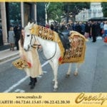 Location cheval Vidéos Saint Chamond