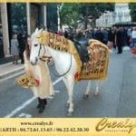 Location cheval Vidéos Chanteloup les Vignes