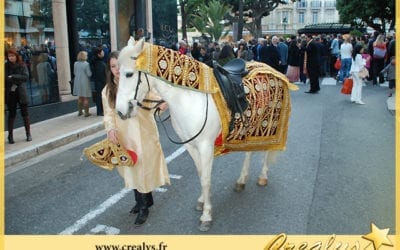 Location cheval vidéos Mont de Marsan