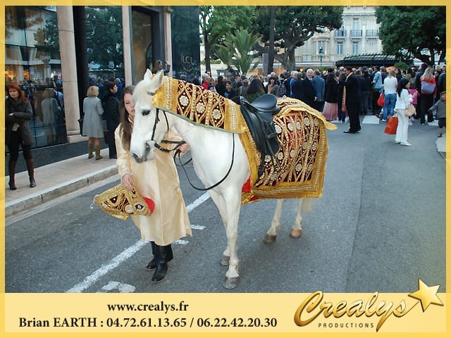 Location cheval vidéos Maizières lès Metz