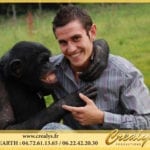 Location chimpanzé Vidéos Pontarlier