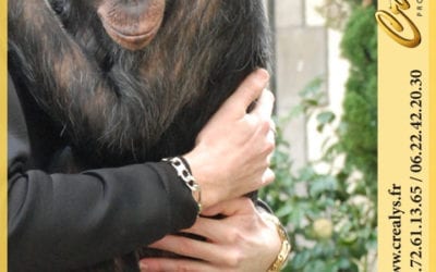 Location chimpanzé vidéos Cormeilles en Parisis