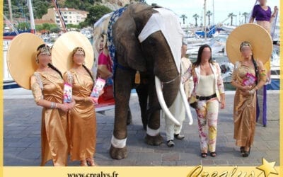 Location éléphant vidéos Le Perreux sur Marne