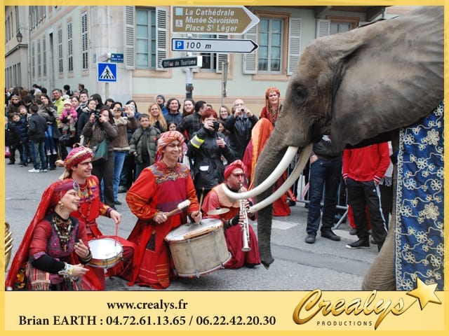 Location éléphant vidéos Carrières sur Seine