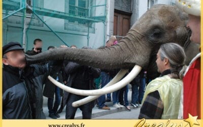 Location éléphant vidéos Rosny sous Bois