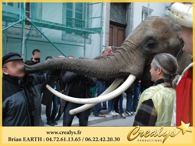 Location éléphant vidéos Neuilly sur Marne