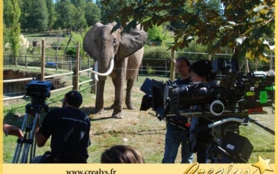 Location éléphant vidéos Bagnols sur Cèze