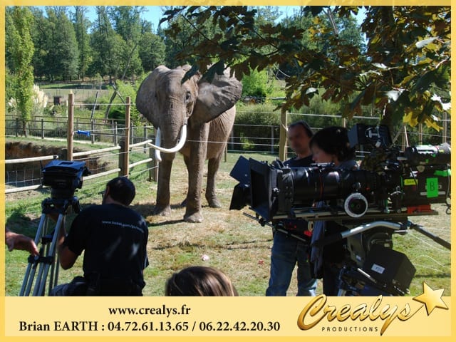 Location éléphant vidéos Albertville