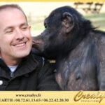 Location chimpanzé Vidéos Saint Quentin