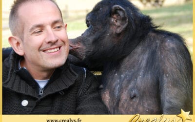 Location chimpanzé vidéos Saint Fargeau Ponthierry