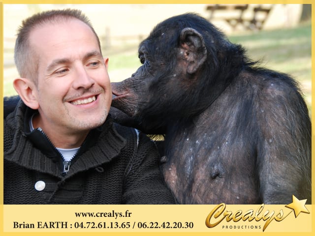 Location chimpanzé vidéos Obernai