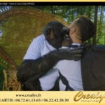 Location chimpanzé Vidéos Bernay