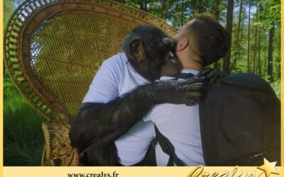 Location chimpanzé vidéos Louvres