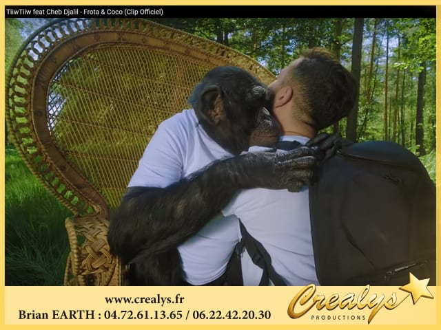 Location chimpanzé vidéos Paris 5e  Arrondissement