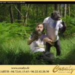 Location chimpanzé Vidéos Aniche