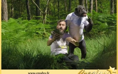 Location chimpanzé vidéos Bron