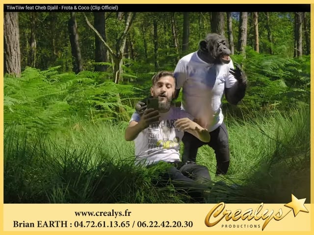 Location chimpanzé vidéos Corbeil Essonnes