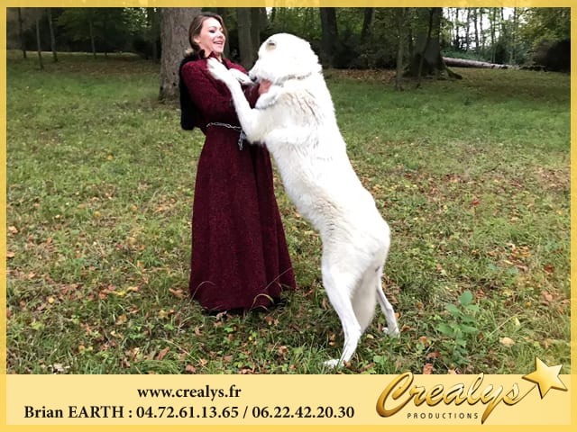 Location loup vidéos Carrières sur Seine