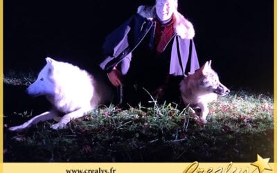 Location loup vidéos Cagnes sur Mer